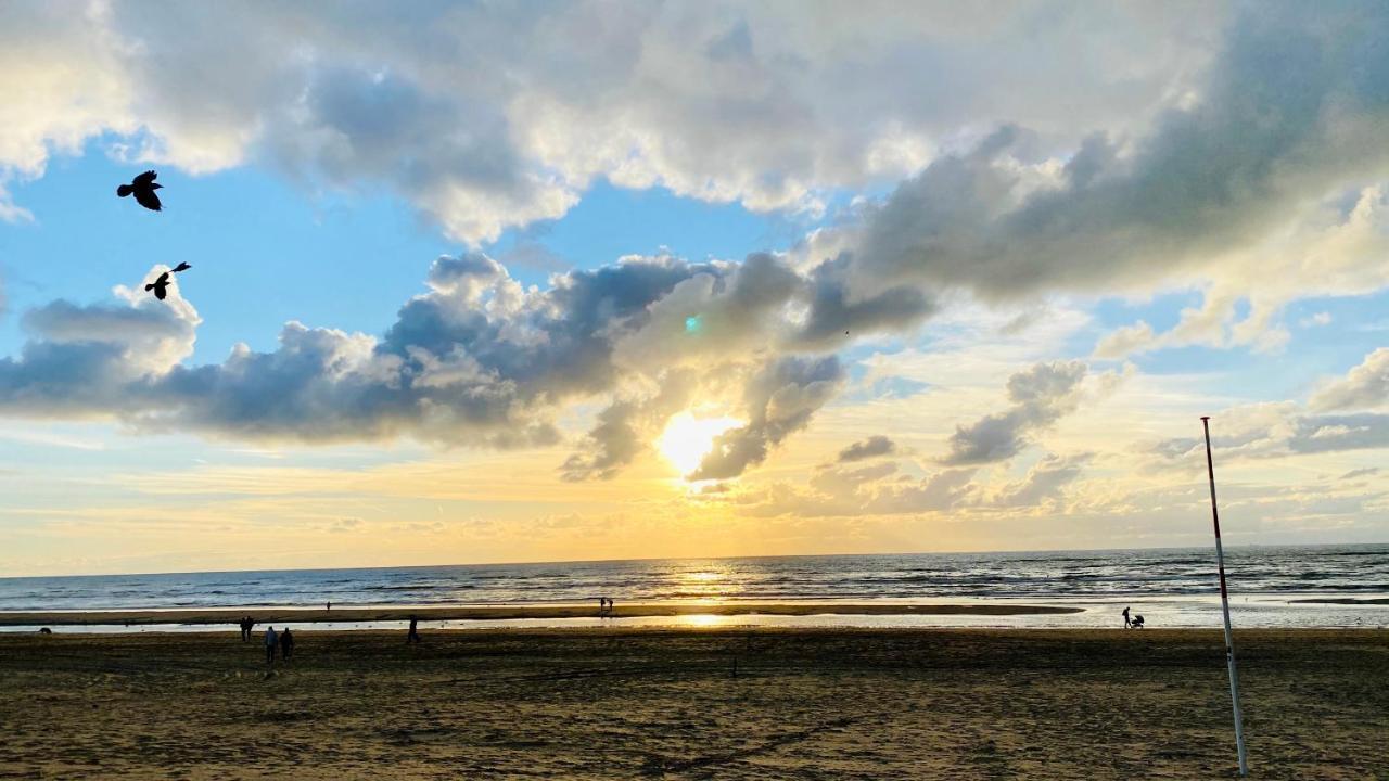 Mevira Appartement Zandvoort Kültér fotó
